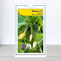 Насіння огірка Еколь F1, АПГ Syngenta Seeds BV, Нідерланди, 10 насінин